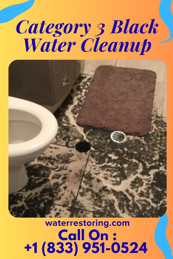 Category 3 Black Water Cleanup in Steger, IL