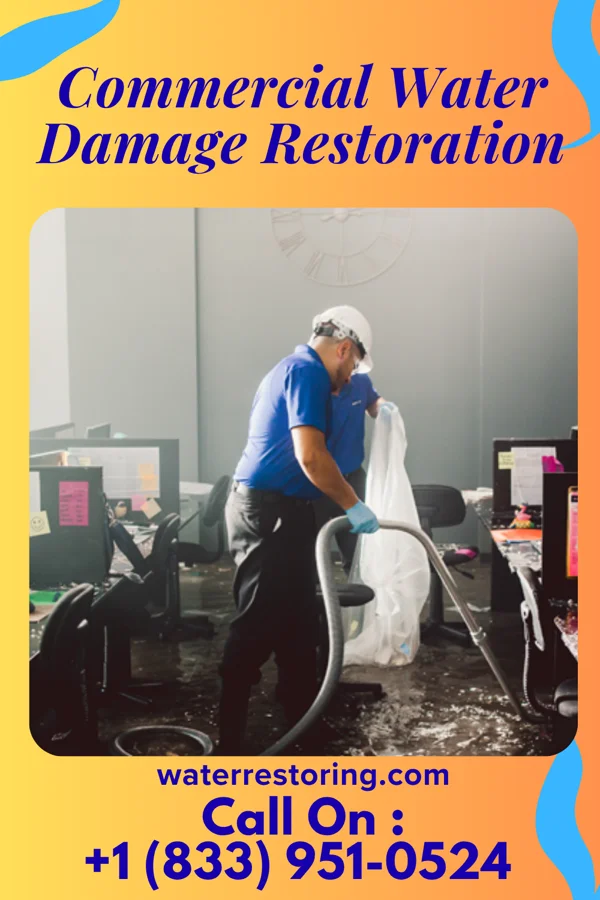 Commercial Water Damage Restoration in Steger, IL