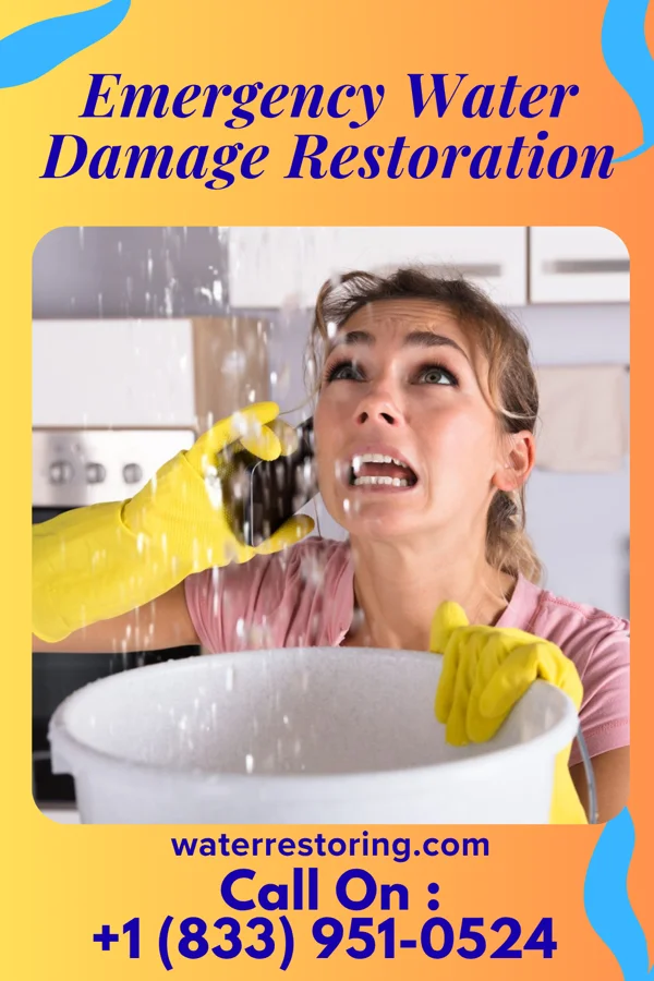 Emergency Water Damage Restoration in Steger, IL