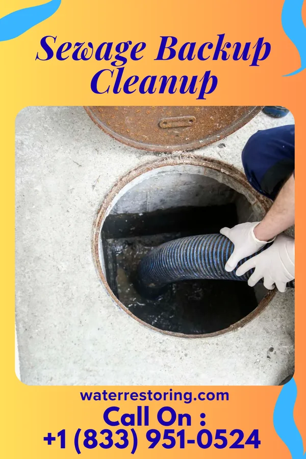 Sewage Backup Cleanup in Steger, IL
